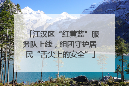 江汉区“红黄蓝”服务队上线，组团守护居民“舌尖上的安全”