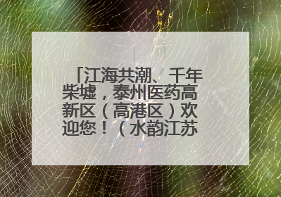 江海共潮、千年柴墟，泰州医药高新区（高港区）欢迎您！（水韵江苏“慢”游记）