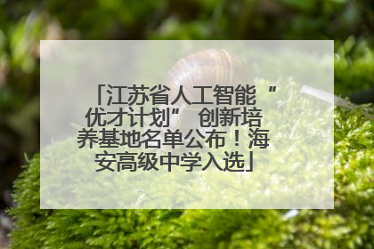 江苏省人工智能“优才计划” 创新培养基地名单公布！海安高级中学入选
