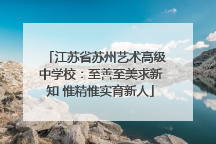江苏省苏州艺术高级中学校：至善至美求新知 惟精惟实育新人