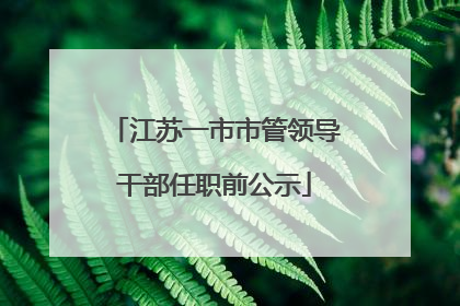 江苏一市市管领导干部任职前公示