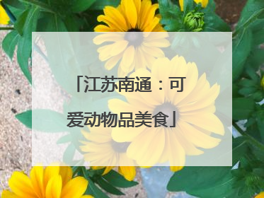 江苏南通：可爱动物品美食