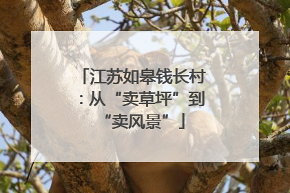 江苏如皋钱长村：从“卖草坪”到“卖风景”