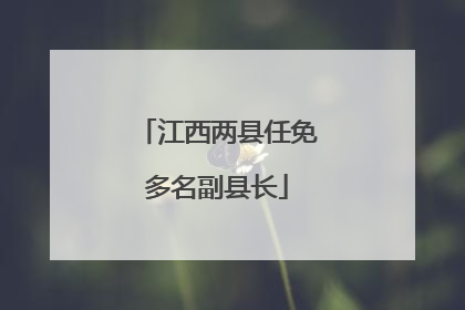 江西两县任免多名副县长