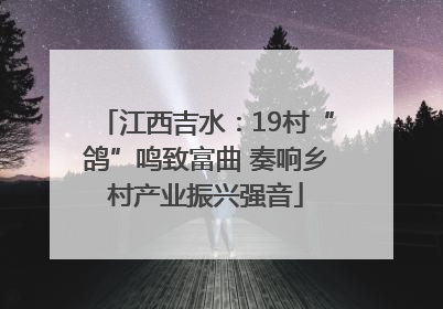 江西吉水：19村“鸽”鸣致富曲 奏响乡村产业振兴强音