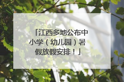 江西多地公布中小学（幼儿园）暑假放假安排！