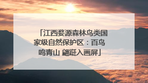 江西婺源森林鸟类国家级自然保护区：百鸟鸣青山 翩跹入画屏