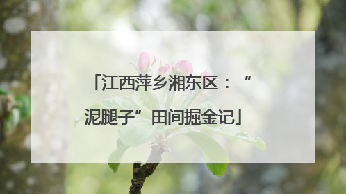 江西萍乡湘东区：“泥腿子”田间掘金记