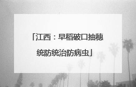 江西：早稻破口抽穗 统防统治防病虫