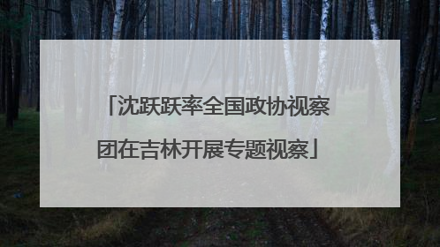 沈跃跃率全国政协视察团在吉林开展专题视察