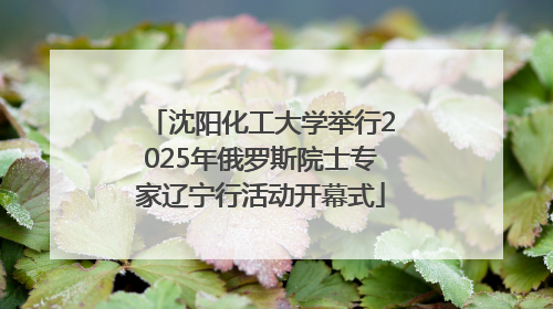 沈阳化工大学举行2025年俄罗斯院士专家辽宁行活动开幕式
