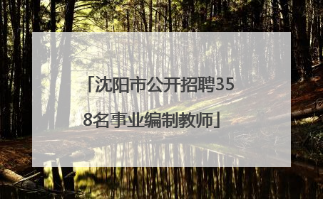 沈阳市公开招聘358名事业编制教师