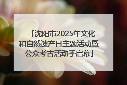 沈阳市2025年文化和自然遗产日主题活动暨公众考古活动季启幕