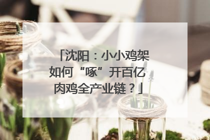 沈阳：小小鸡架如何“啄”开百亿肉鸡全产业链？