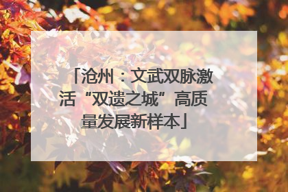 沧州：文武双脉激活“双遗之城”高质量发展新样本