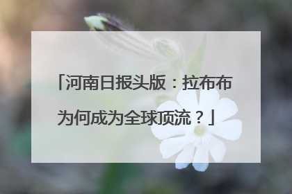 河南日报头版：拉布布为何成为全球顶流？