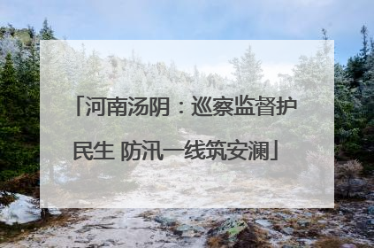 河南汤阴：巡察监督护民生 防汛一线筑安澜