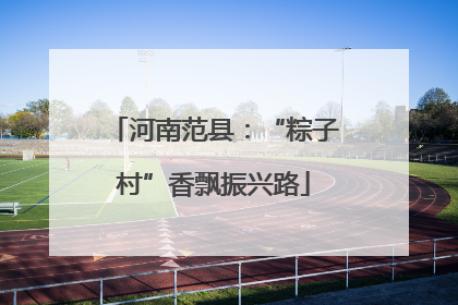 河南范县：“粽子村”香飘振兴路