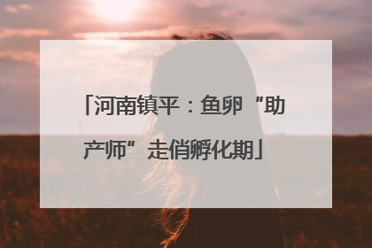 河南镇平：鱼卵“助产师”走俏孵化期