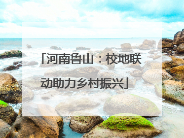 河南鲁山：校地联动助力乡村振兴