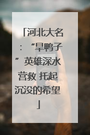 河北大名：“旱鸭子”英雄深水营救 托起沉没的希望