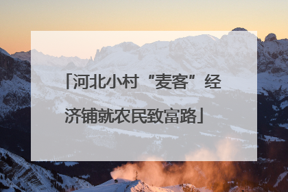 河北小村“麦客”经济铺就农民致富路