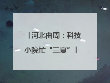 河北曲周：科技小院忙“三夏”
