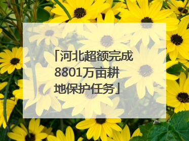 河北超额完成8801万亩耕地保护任务