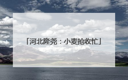 河北隆尧：小麦抢收忙
