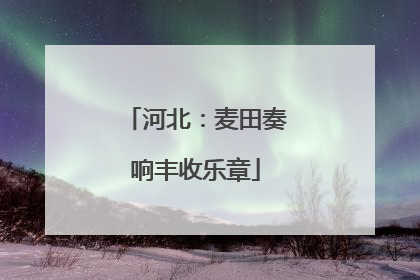 河北：麦田奏响丰收乐章