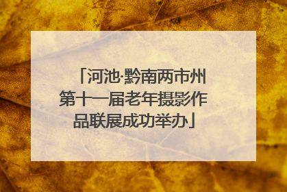 河池·黔南两市州第十一届老年摄影作品联展成功举办