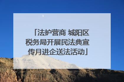 法护营商 城阳区税务局开展民法典宣传月进企送法活动
