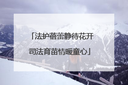 法护蓓蕾静待花开 司法育苗情暖童心