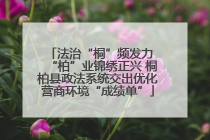 法治“桐”频发力 “柏”业锦绣正兴 桐柏县政法系统交出优化营商环境“成绩单”