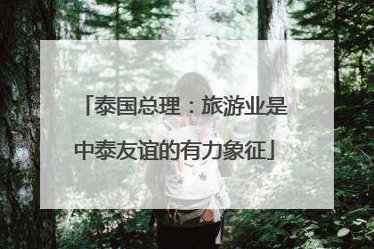 泰国总理：旅游业是中泰友谊的有力象征
