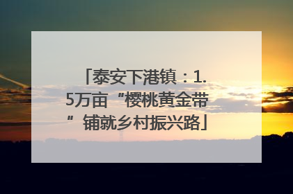泰安下港镇：1.5万亩“樱桃黄金带”铺就乡村振兴路