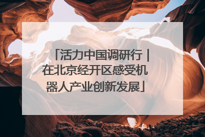 活力中国调研行｜在北京经开区感受机器人产业创新发展