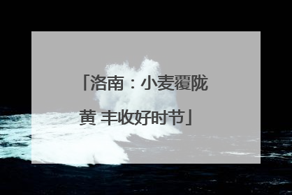 洛南：小麦覆陇黄 丰收好时节