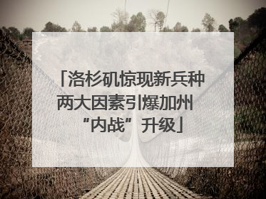 洛杉矶惊现新兵种 两大因素引爆加州“内战”升级