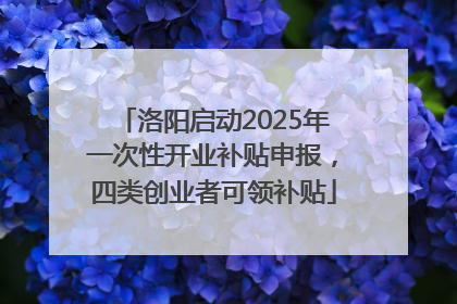 洛阳启动2025年一次性开业补贴申报，四类创业者可领补贴