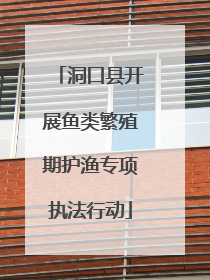 洞口县开展鱼类繁殖期护渔专项执法行动