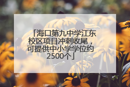 海口第九中学江东校区项目冲刺收尾，可提供中小学学位约2500个