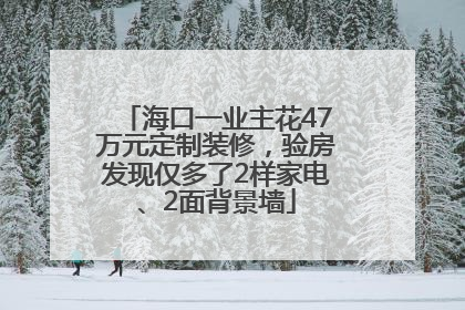 海口一业主花47万元定制装修，验房发现仅多了2样家电、2面背景墙
