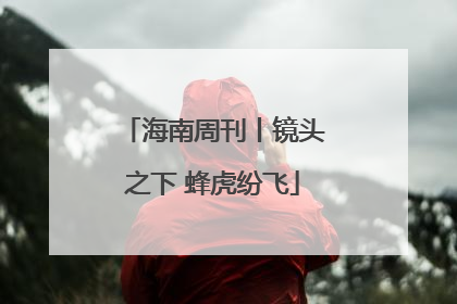 海南周刊丨镜头之下 蜂虎纷飞