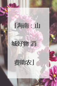 海南：山城好物 消费助农