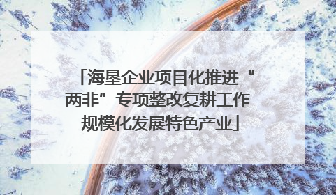 海垦企业项目化推进“两非”专项整改复耕工作 规模化发展特色产业