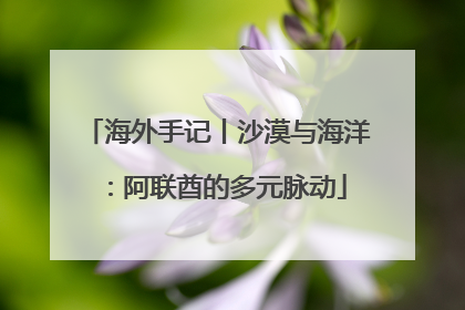 海外手记丨沙漠与海洋：阿联酋的多元脉动