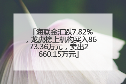 海联金汇跌7.82%，龙虎榜上机构买入8673.36万元，卖出2660.15万元