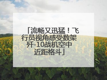 流畅又迅猛！飞行员视角感受数架歼-10战机空中近距格斗