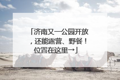 济南又一公园开放，还能露营、野餐！位置在这里→